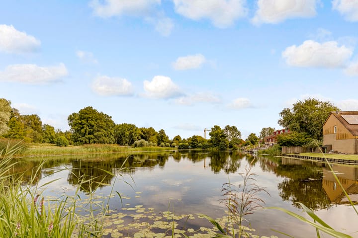 Photo 50 of Schouw 49 11