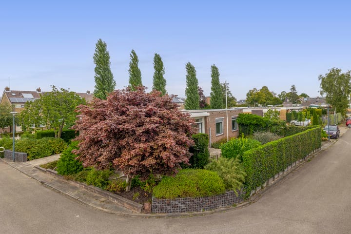 Foto 8 van Koningin Wilhelminasingel 21