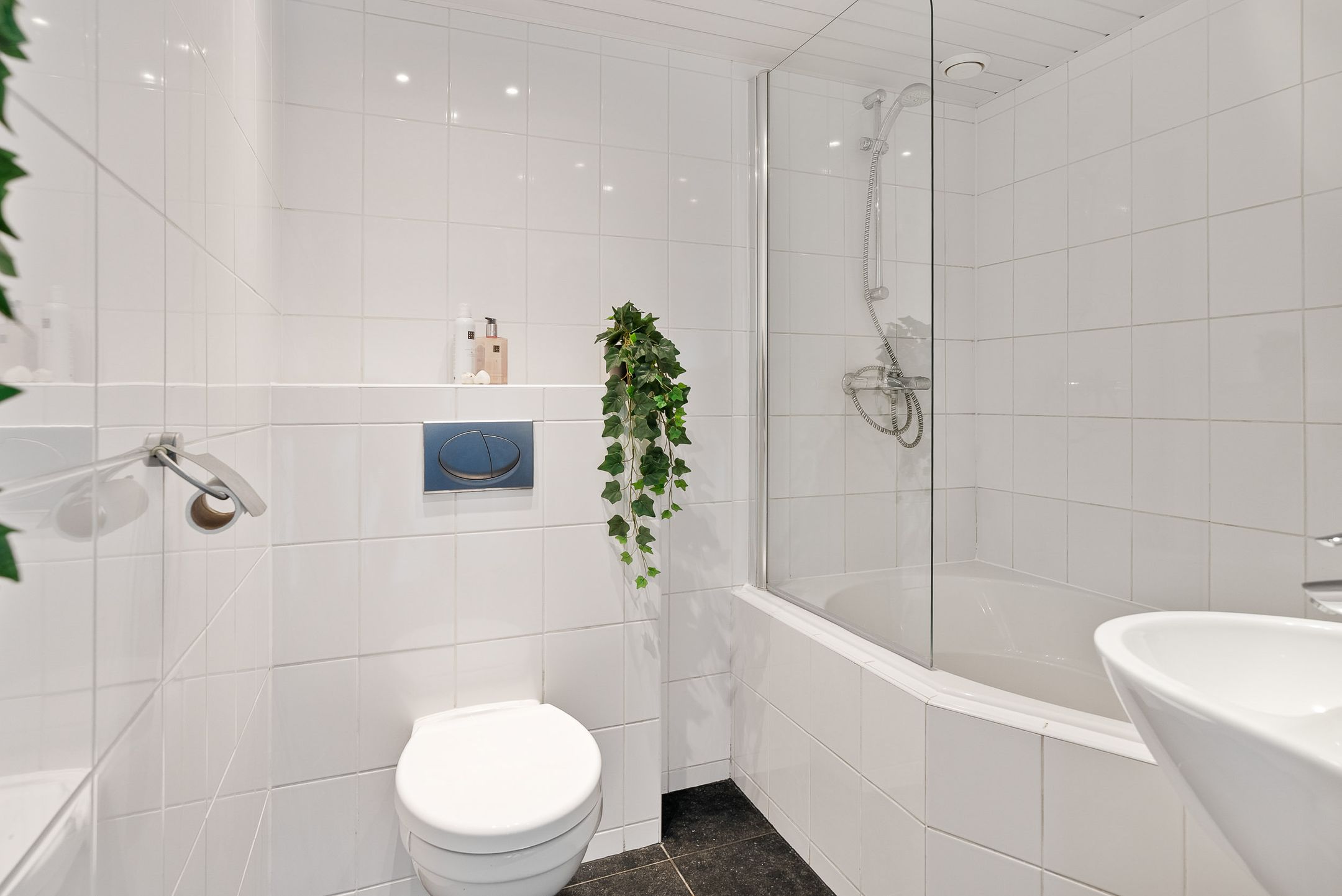 Foto 24 van Asterstraat 12