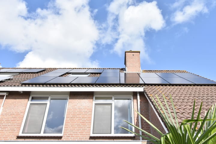 Photo 28 of Koningsvaren 12