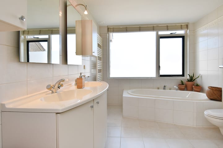 Photo 41 of Koningsvaren 12