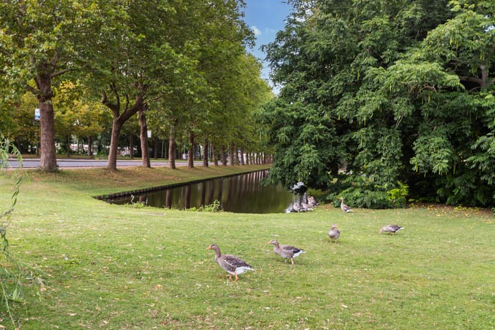 Foto 32 van Wilgenplaslaan 378