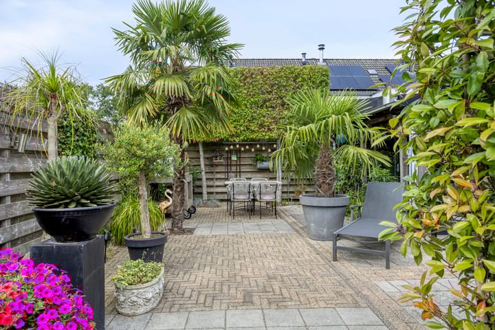 Photo 45 of Noardkamp 1