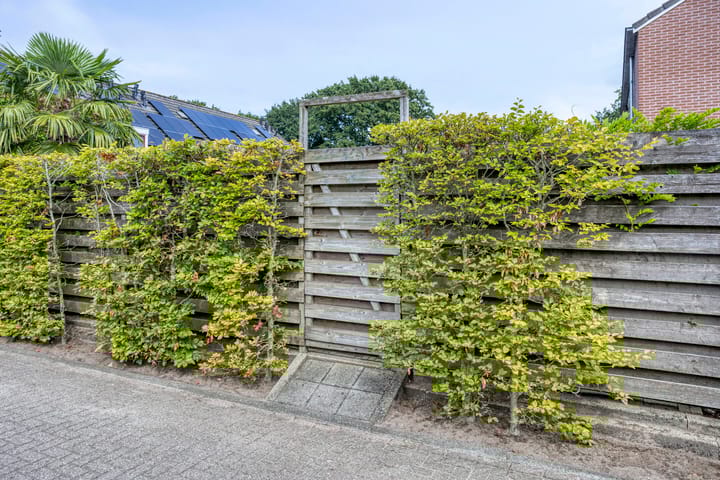 Photo 67 of Noardkamp 1