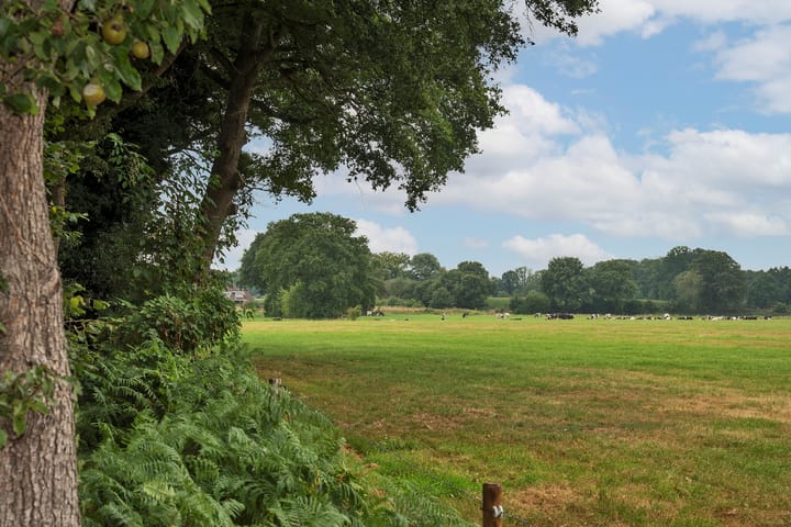 Photo 28 of Bergvennenweg 3