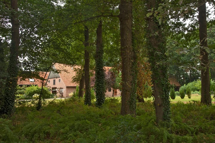 Photo 30 of Bergvennenweg 3