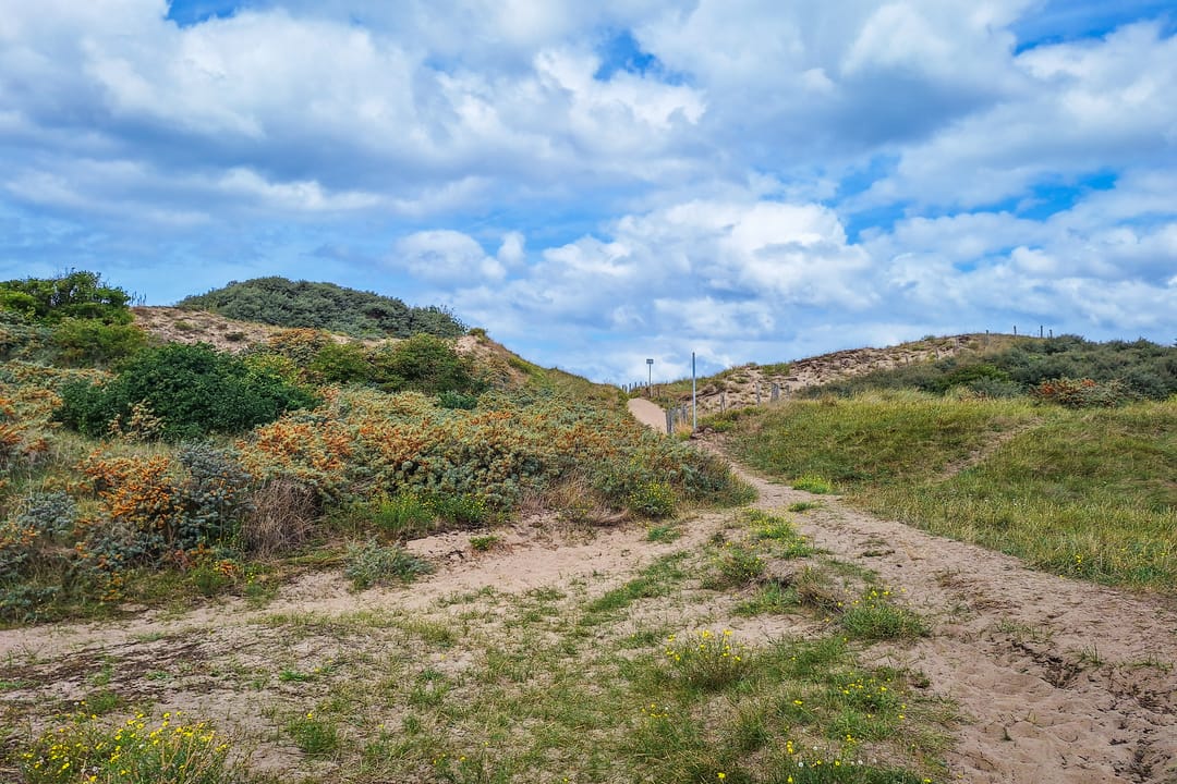 Photo 23 of Burgemeester Rothestraat 97