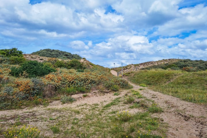 Foto 23 van Burgemeester Rothestraat 97