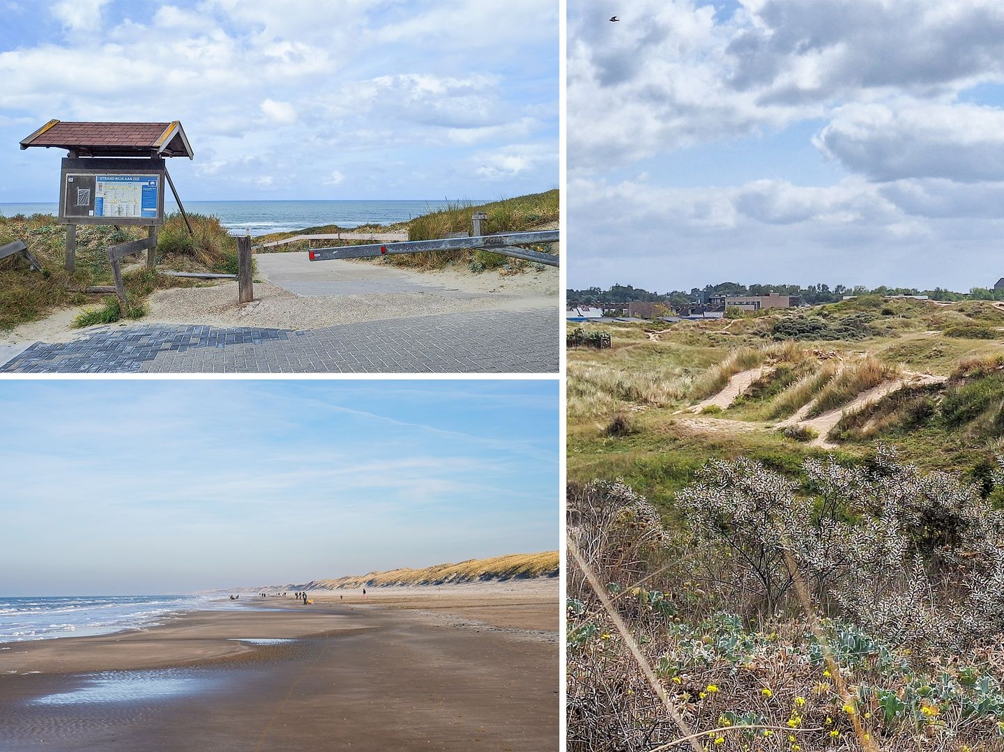 Photo 25 of Burgemeester Rothestraat 97