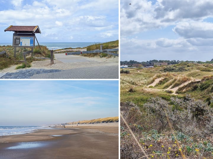 Foto 25 van Burgemeester Rothestraat 97