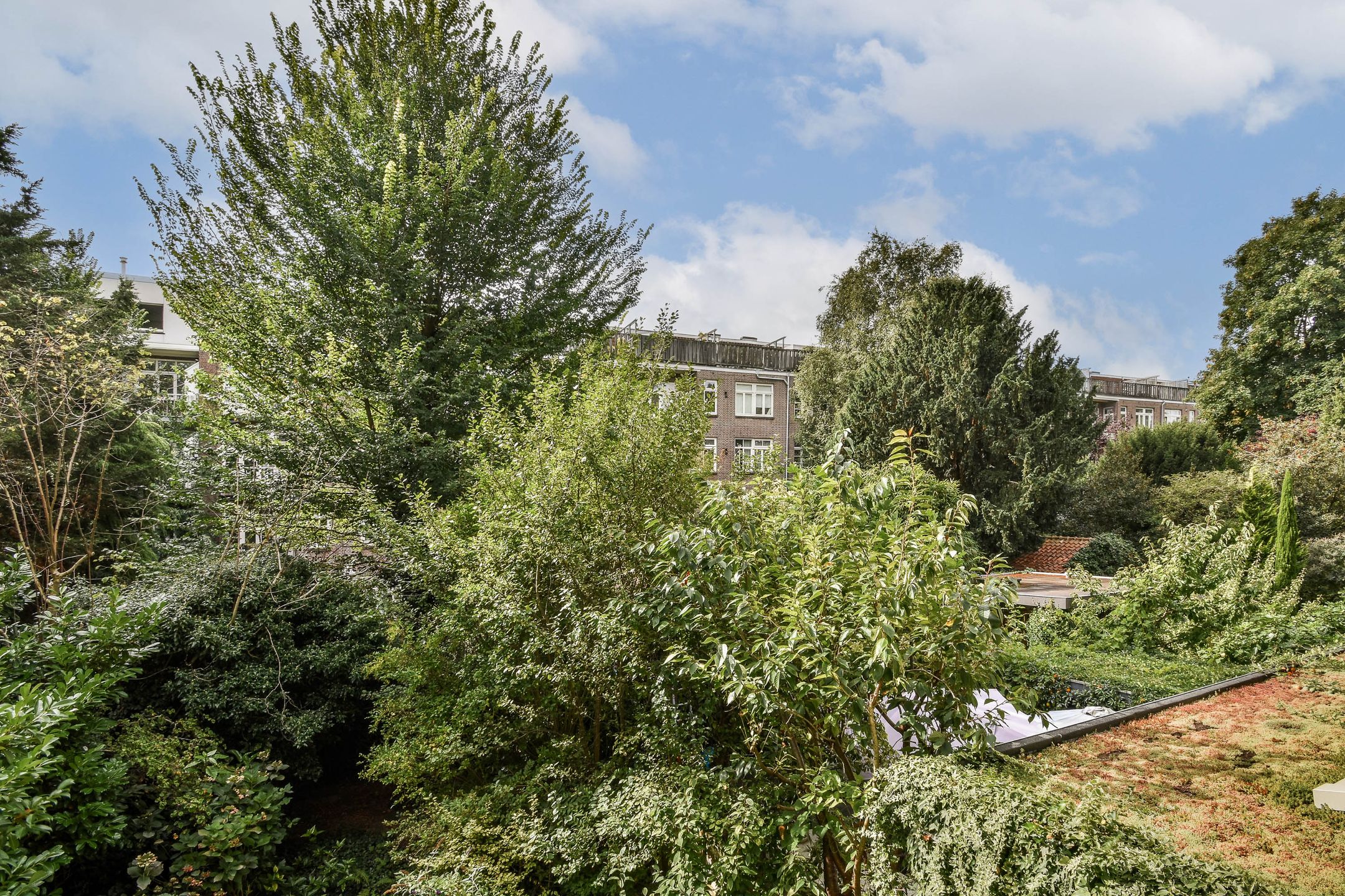 Foto 12 van Amstelkade 109-1