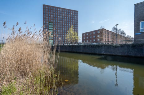 Polenstraat thumbnail