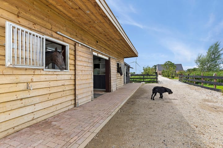 Foto 52 van Kiesterzijl 56