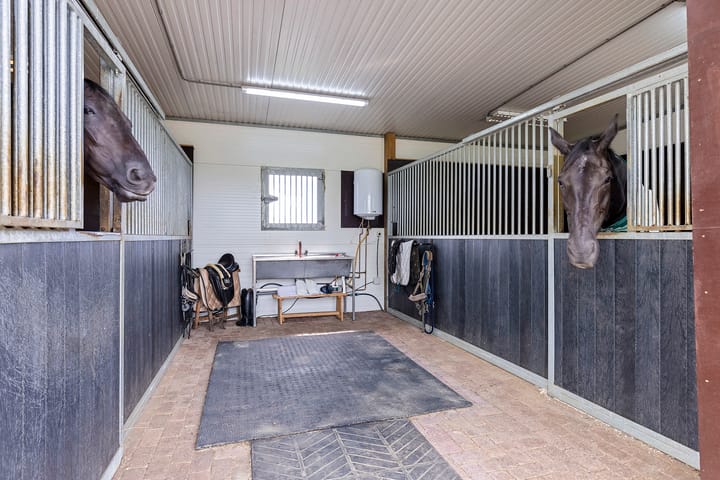 Foto 54 van Kiesterzijl 56