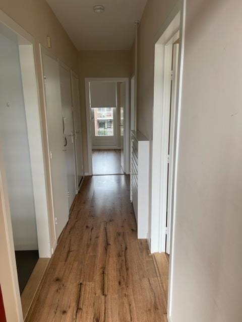 Foto 3 van Lange Heul 640