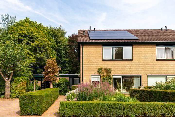 Foto 5 van Boesmate 41