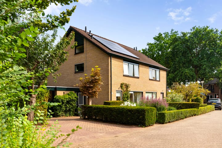 Foto 6 van Boesmate 41