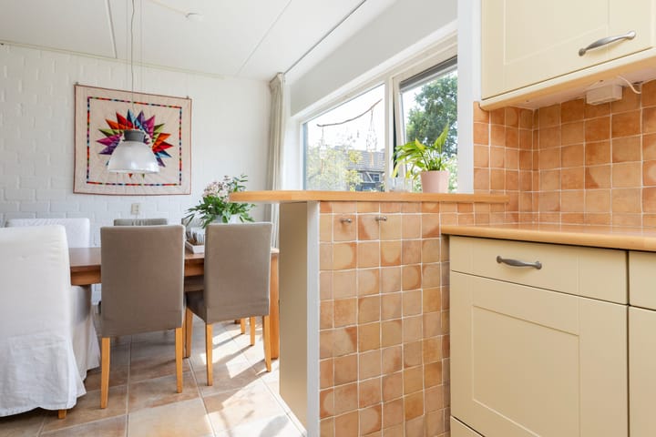 Foto 13 van Boesmate 41