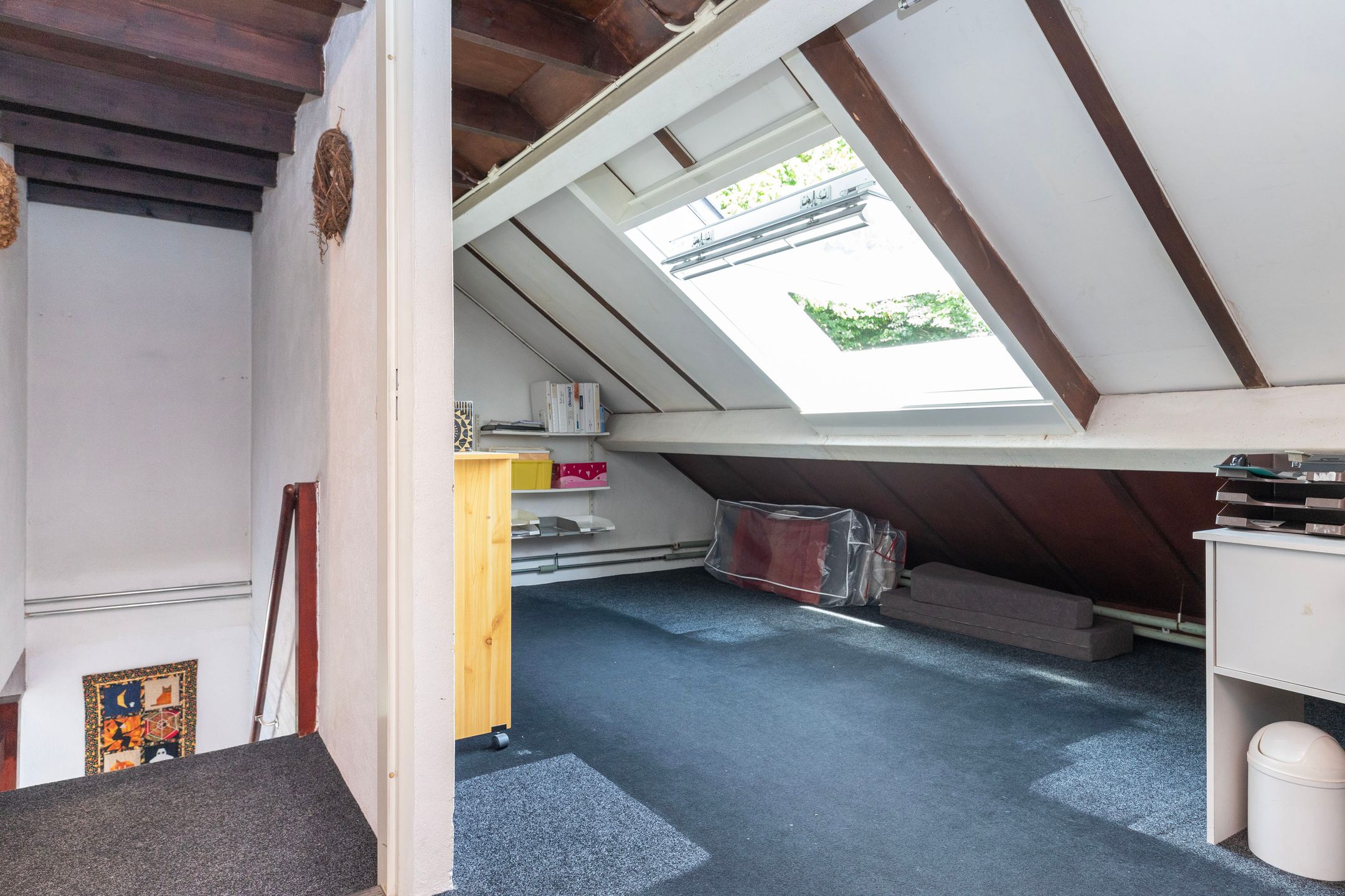 Foto 33 van Boesmate 41