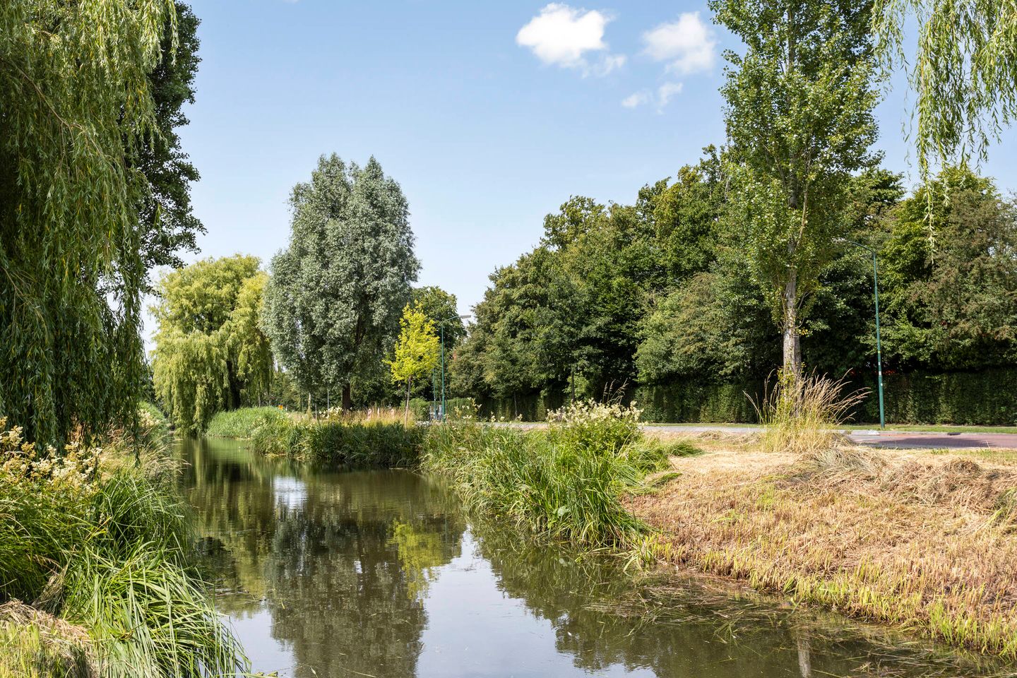 Foto 34 van Coba Ritsemastraat 11