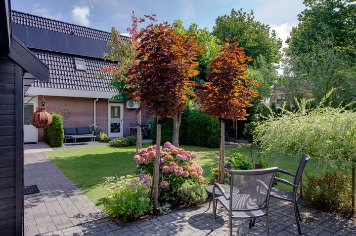 Photo 6 of Roggelelie 1