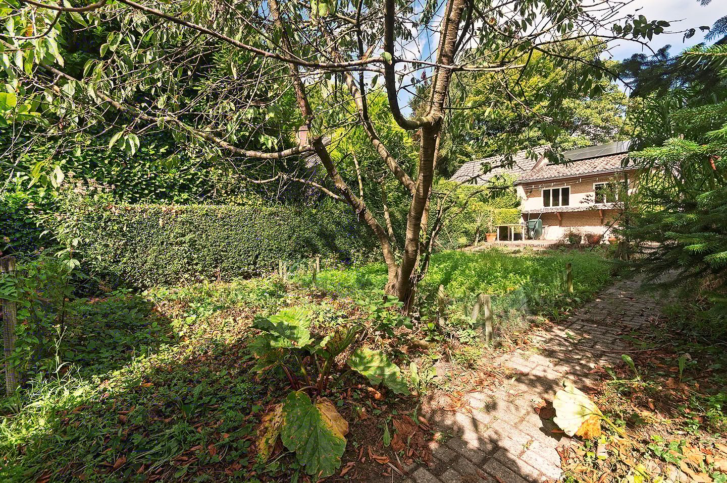 Foto 55 van Zevenheuvelenweg 65