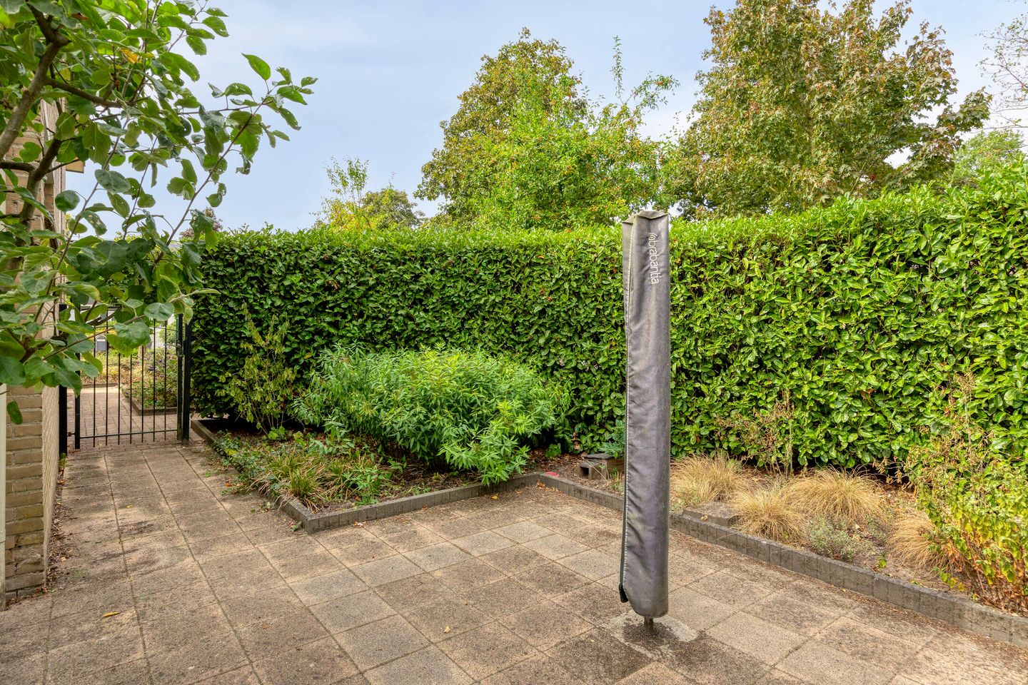 Photo 44 of Papegaaiweg 15