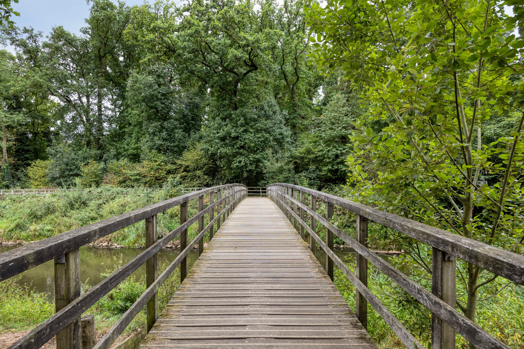 Photo 54 of Papegaaiweg 15