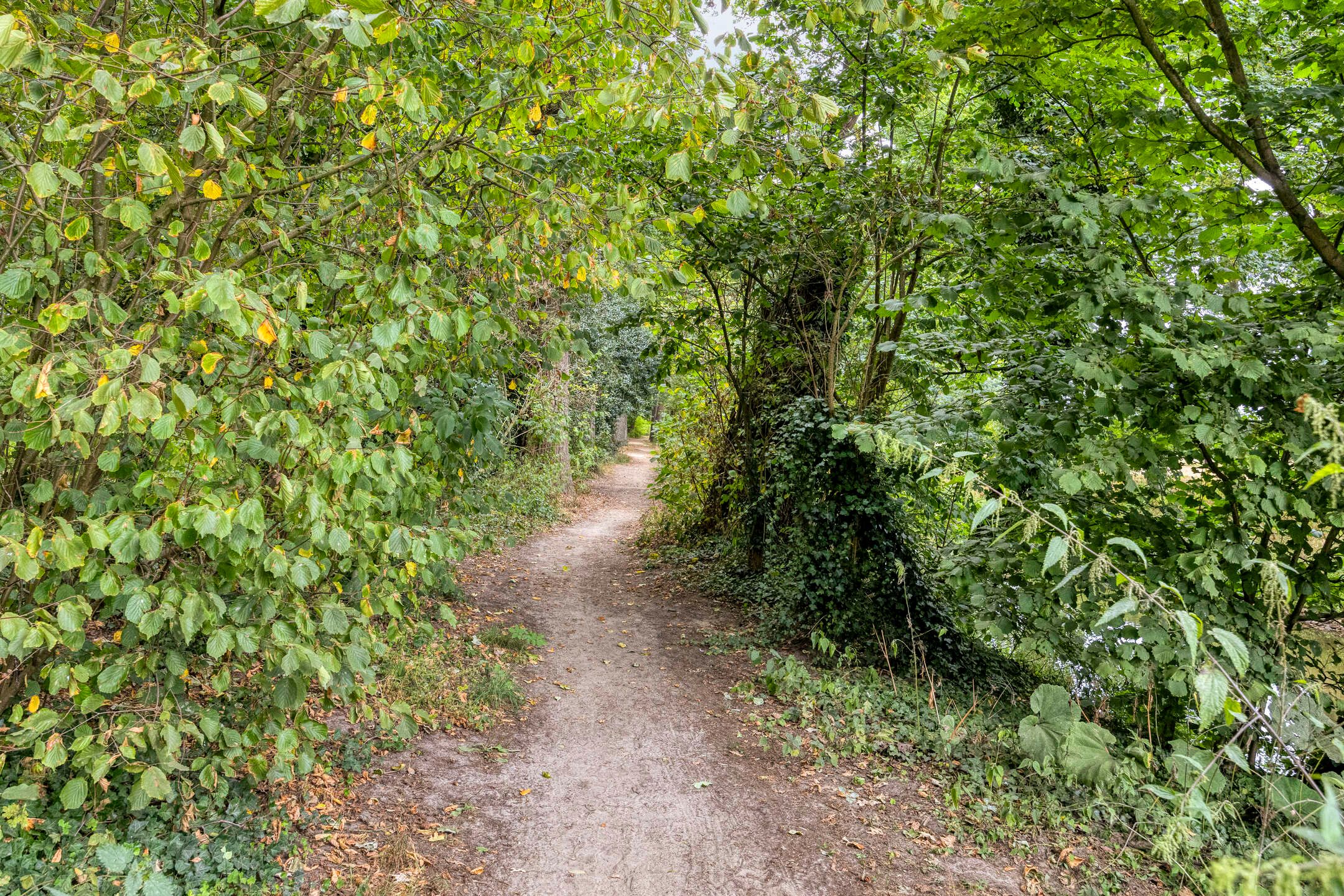 Photo 57 of Papegaaiweg 15