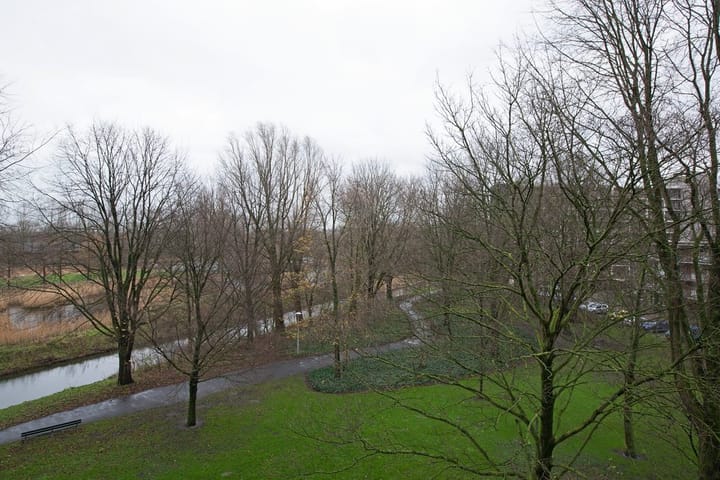 Photo 15 of Amerbos 198