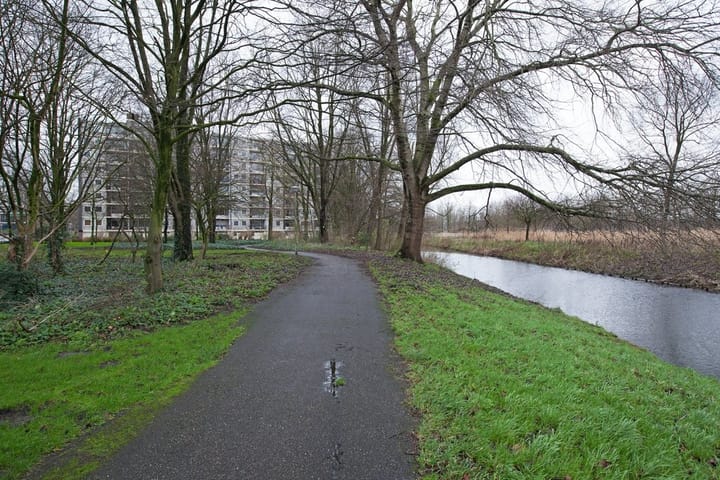 Photo 16 of Amerbos 198