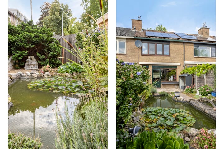 Foto 50 van De Glazenmaker 42