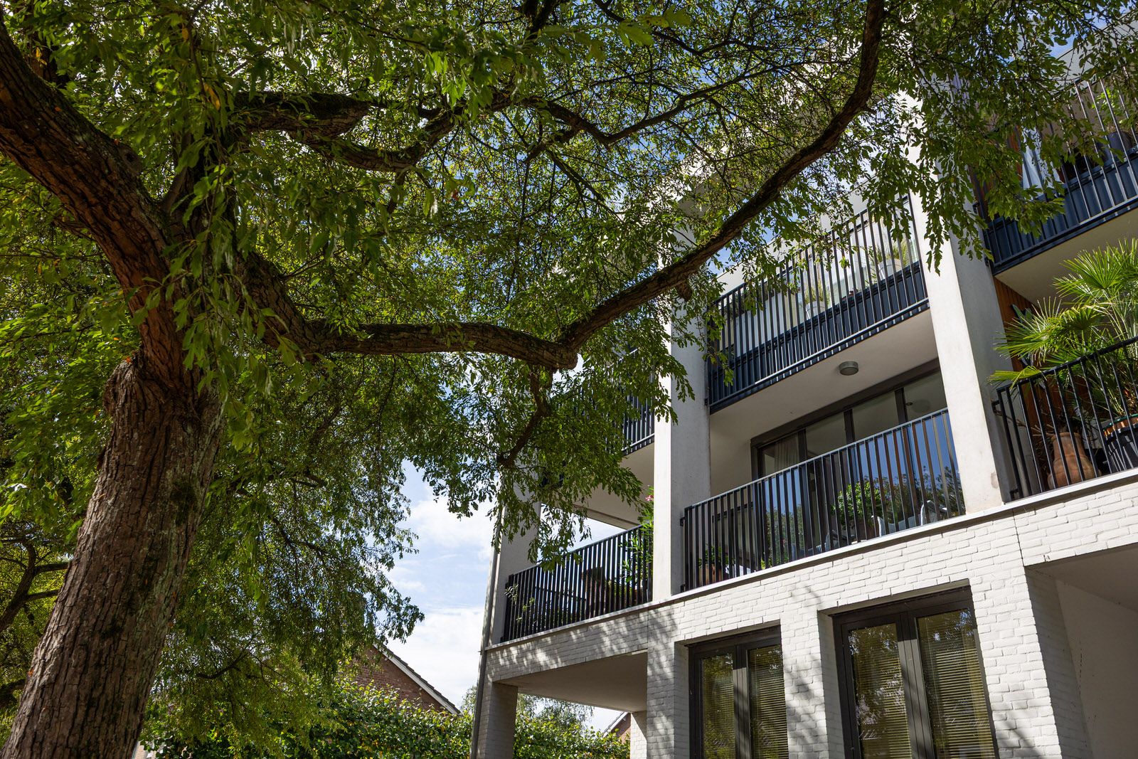 Thomas a Kempisstraat, 20, Den Bosch, 5216HT, Noord-Brabant, Nederland 20