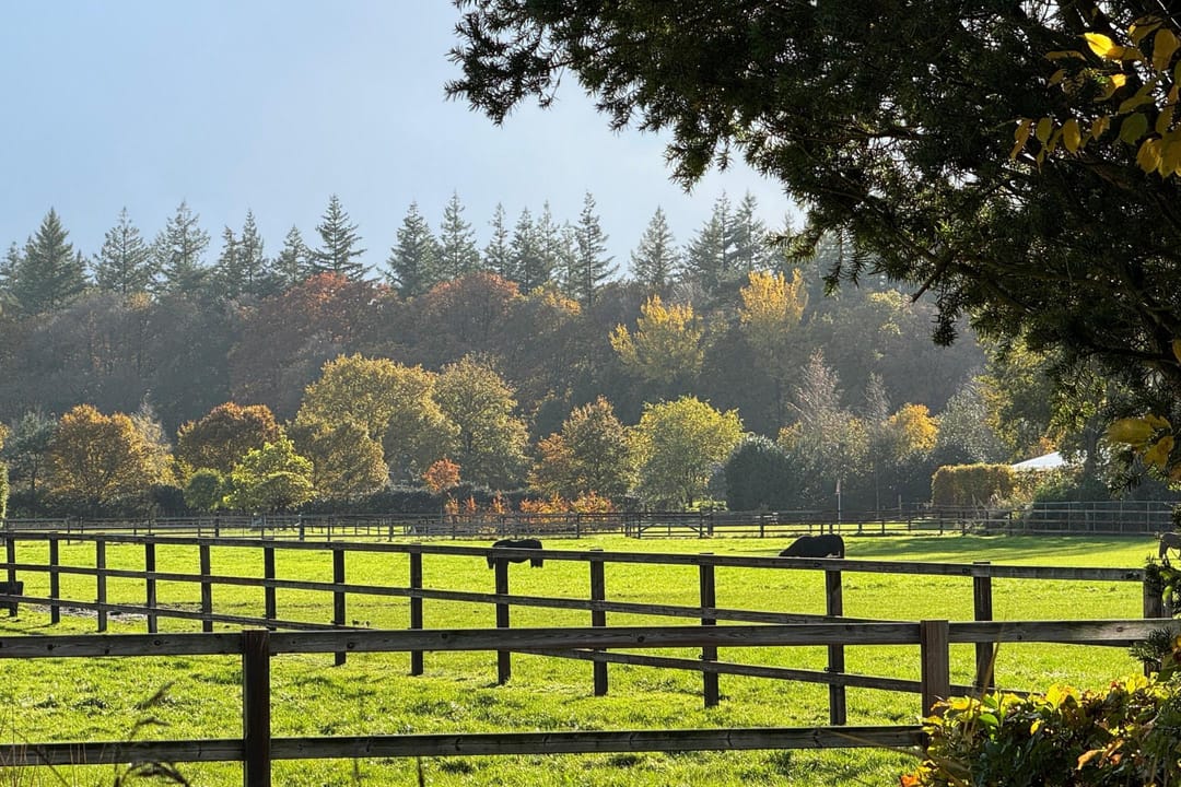 Photo 37 of Houtentorenweg 14-2