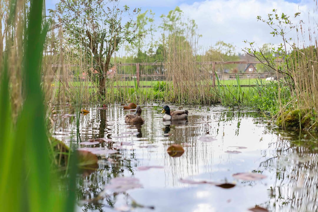 Photo 38 of Houtentorenweg 14-2