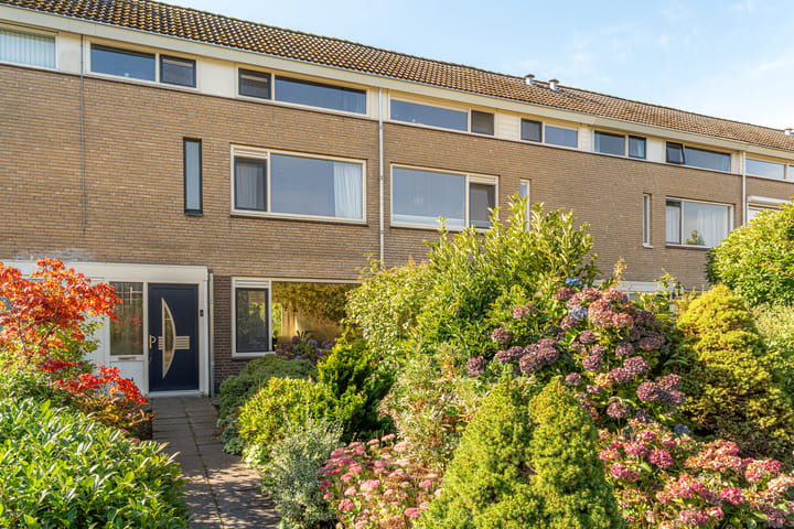 Photo 2 of Splitting 38