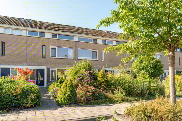 Foto 1 van Splitting 38