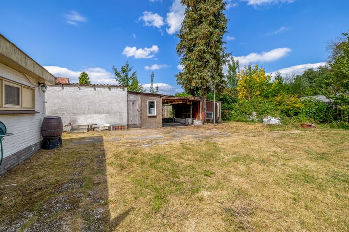 Foto 19 van Wieksloterweg OZ 41