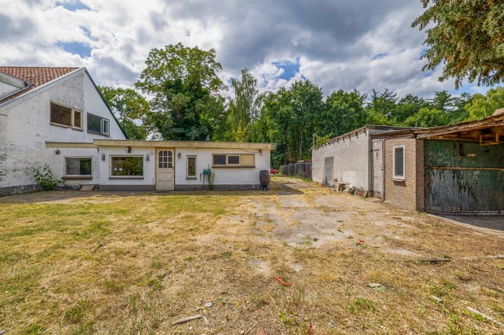 Foto 20 van Wieksloterweg OZ 41