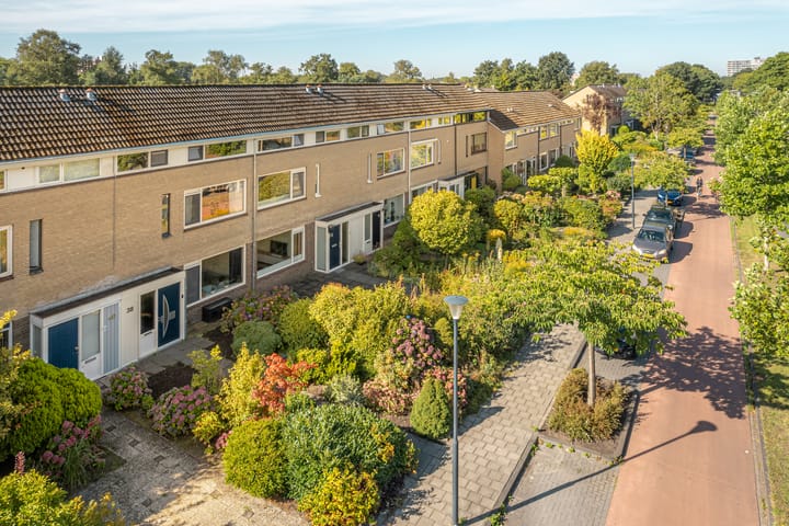 Foto 8 van Splitting 38