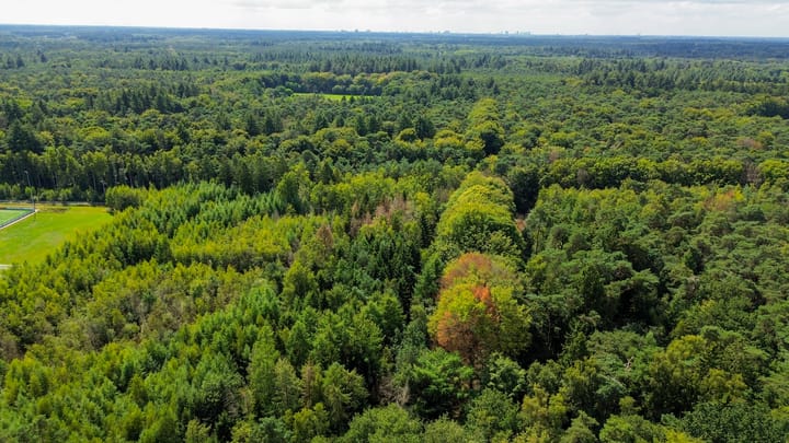 Foto 26 van Wieksloterweg OZ 41