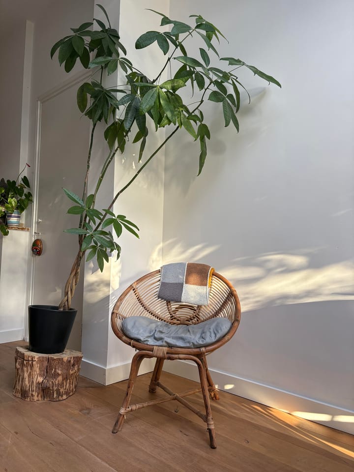 Foto 19 van Wilhelminasingel 51