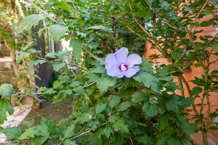 Foto 40 van Kloosterstraat 8