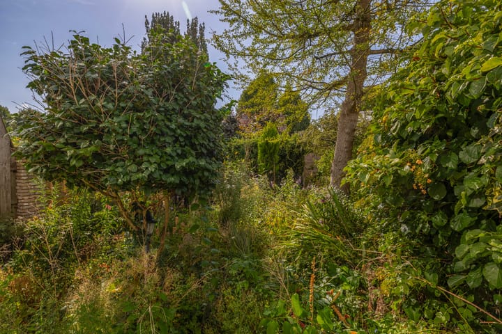 Foto 15 van Prof. Krabbestraat 9