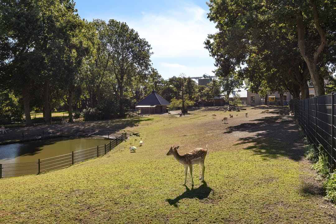 Photo 43 of Beatrixlaan 2