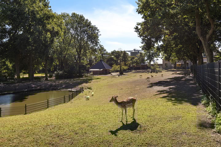 Foto 43 van Beatrixlaan 2