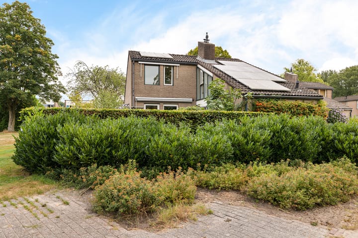 Foto 4 van Weglangen 2