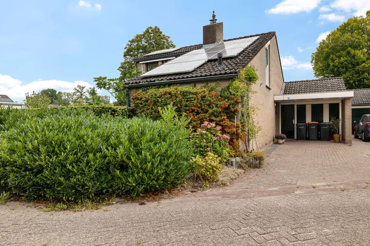 Foto 5 van Weglangen 2