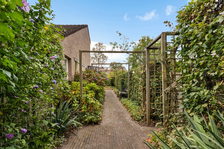 Foto 39 van Weglangen 2