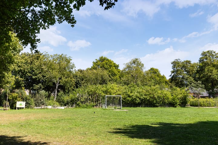 Foto 61 van Boterbloemweide 35